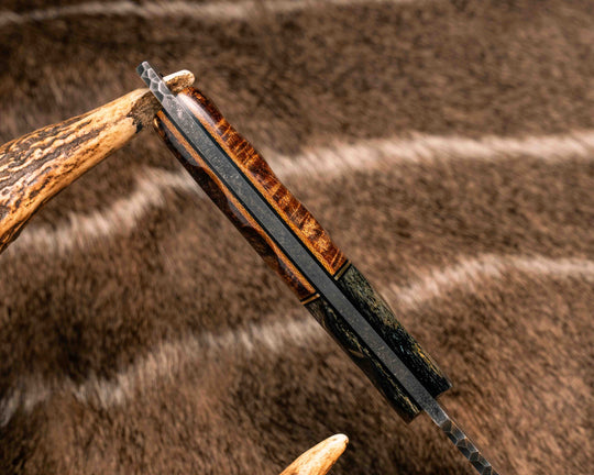 Crow Jr (Compound Grind)- Dyed Giraffe Bone, Black G10 and Brass Split, Hawaiian Curly Koa Over Natural Canvas Micarta, Mosaic Pins, Textured Grip