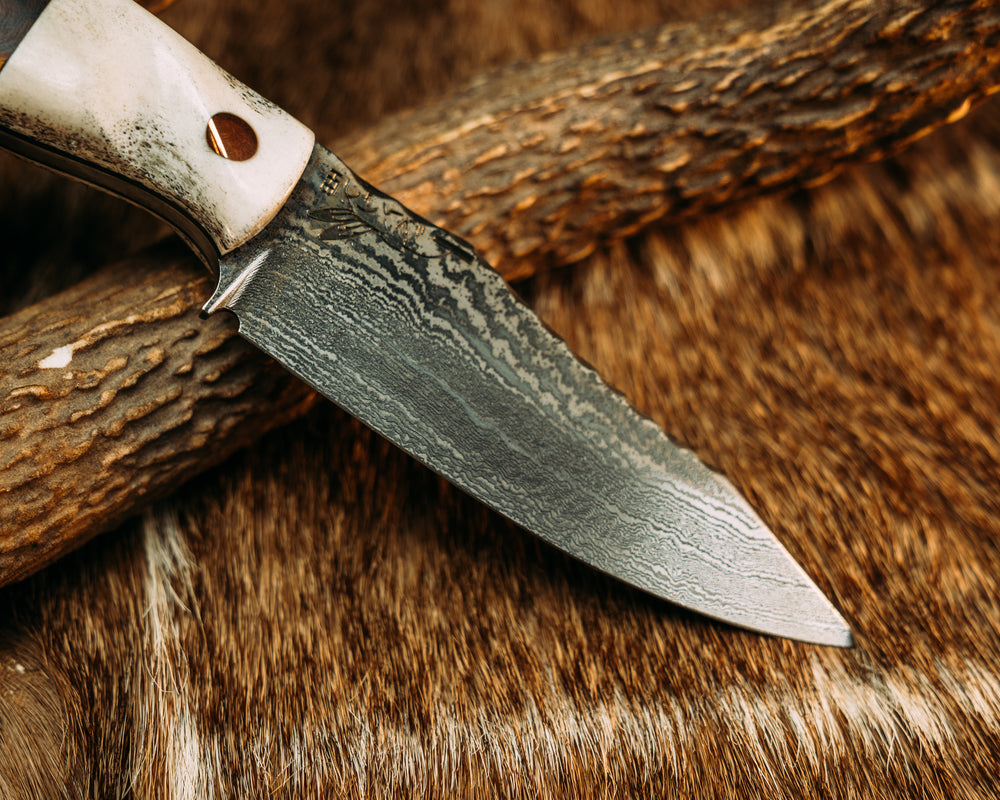 Field Knife Jr- Baker Forge Random Pattern Damascus- and Desert Ironwood, Copper Pins, 1/8" Copper Pin, Contoured Grip