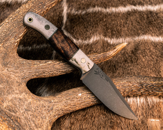 Drop Point Scalper- CO Elk Antler, Black G10 and Brass Pin Striping, Hawaiian Curly Koa Split, Brass Pins, Brass Lanyard Pin, Smooth Grip