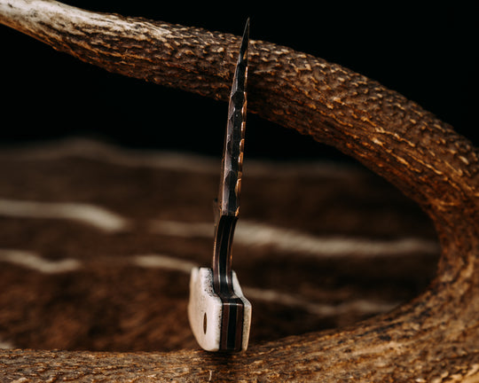 K9 Push Blade- Baker Forge CopperMai -Raindrop (Ni Shim)-Elk Antler, Mosaic Pins, Smooth Natural Grip