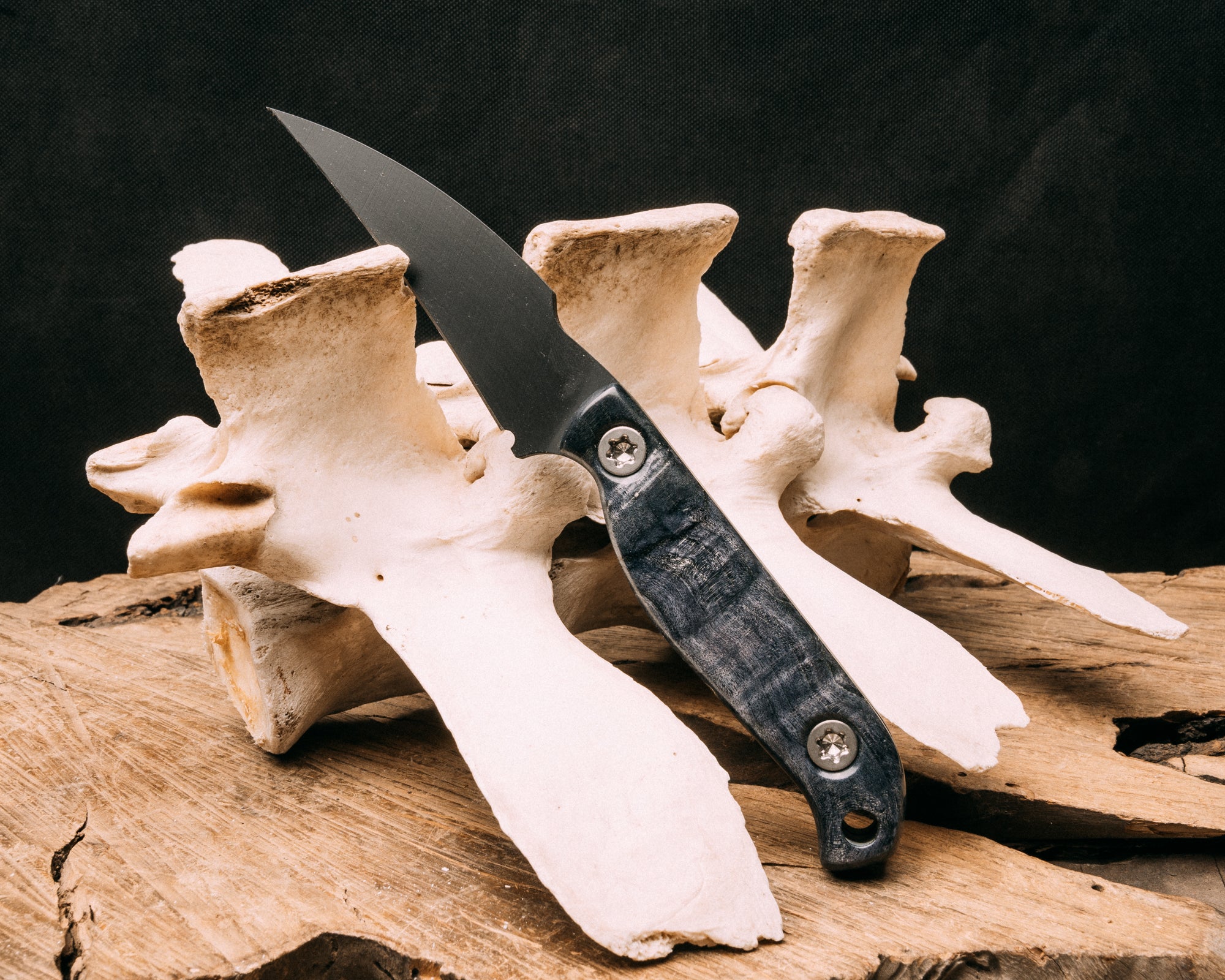 Gula Gula- Dyed Box Elder, armor black cerakote, allen bolts, smooth grip