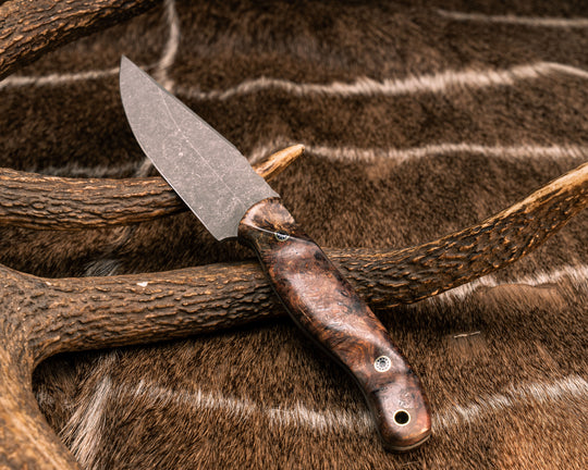 Crow Jr- Chechen Caribbean Rosewood, Dinosaur Bone Cabochon Inlay, Mosaic Pins, Brass Lanyard Pin, Textured Grip